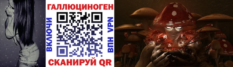 Псилоцибиновые грибы Psilocybe  купить  цена  MEGA tor  Сорочинск 