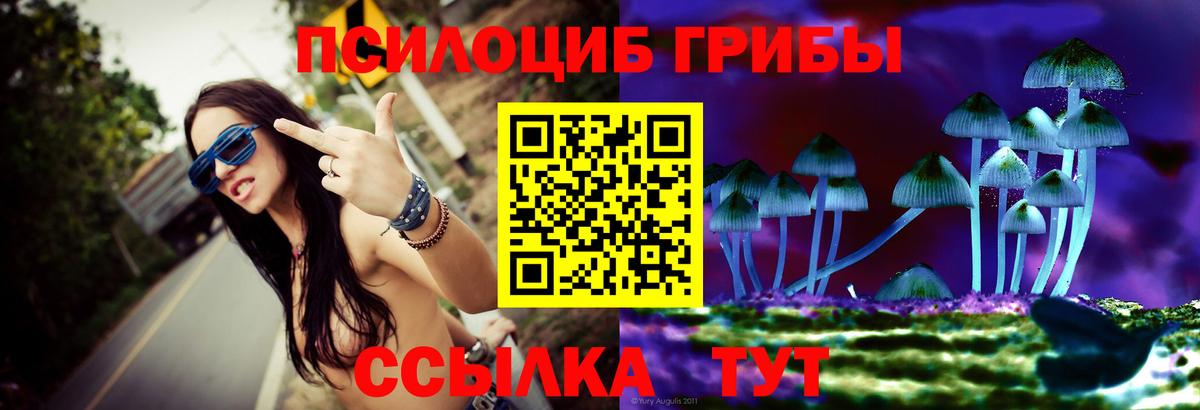 Псилоцибиновые грибы прущие грибы Сорочинск